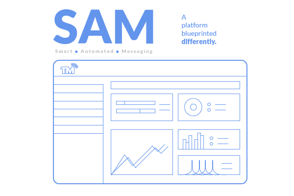 What Is SAM Asset 1